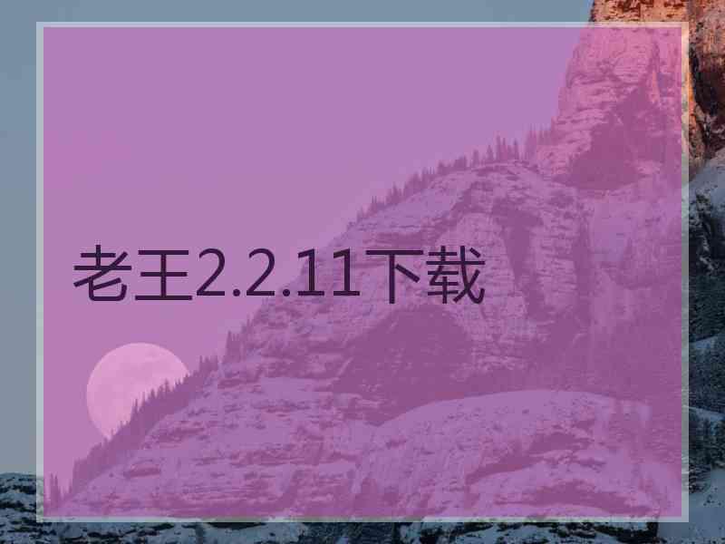 老王2.2.11下载