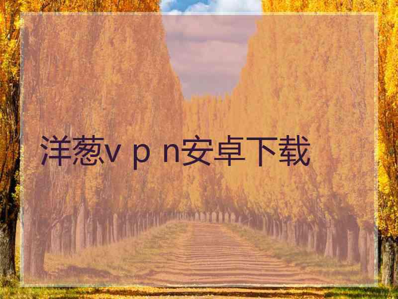 洋葱v p n安卓下载