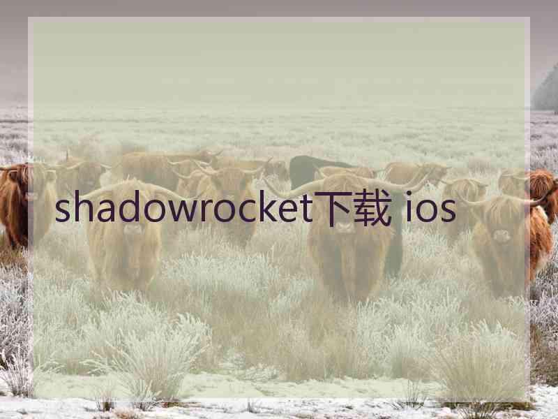 shadowrocket下载 ios