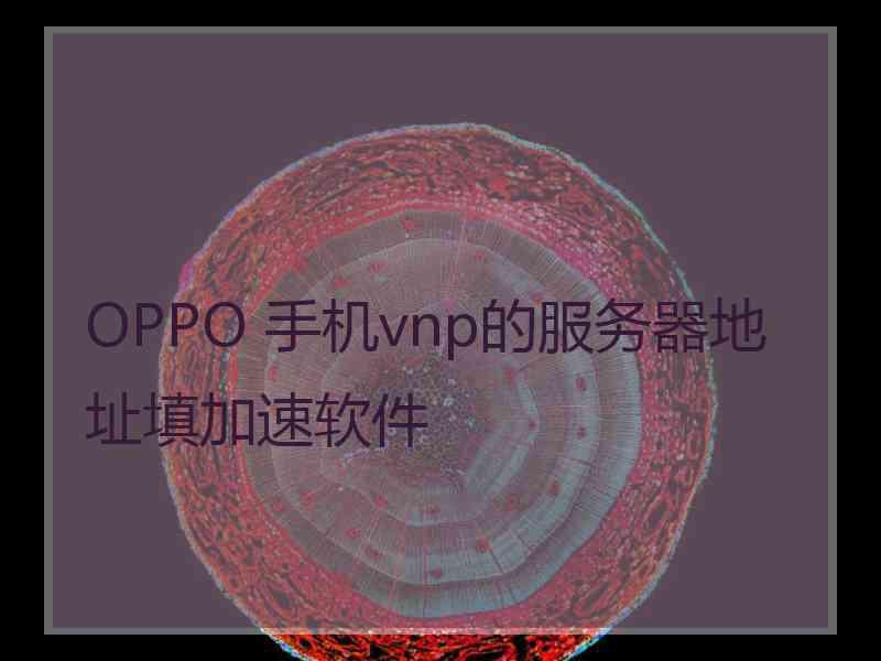OPPO 手机vnp的服务器地址填加速软件