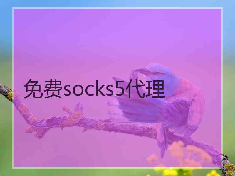 免费socks5代理