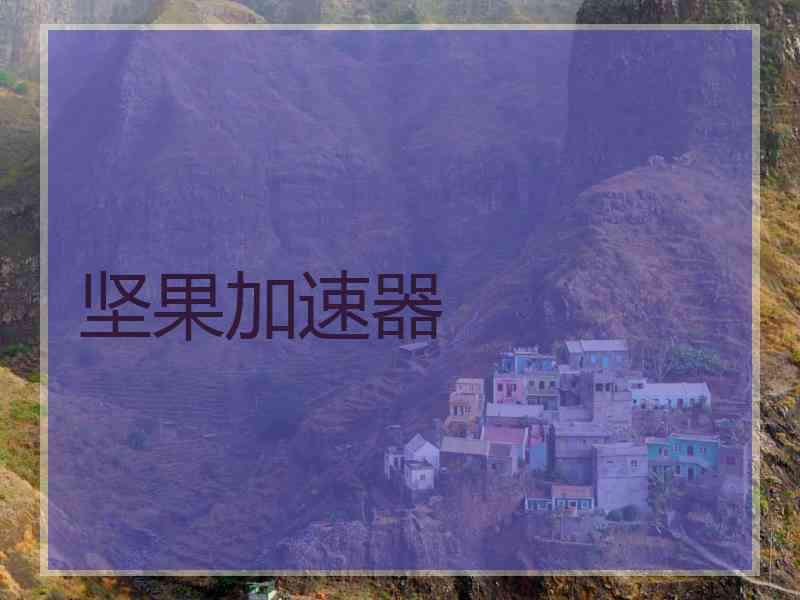 坚果加速器