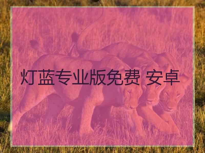 灯蓝专业版免费 安卓