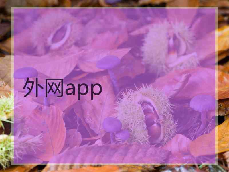 外网app