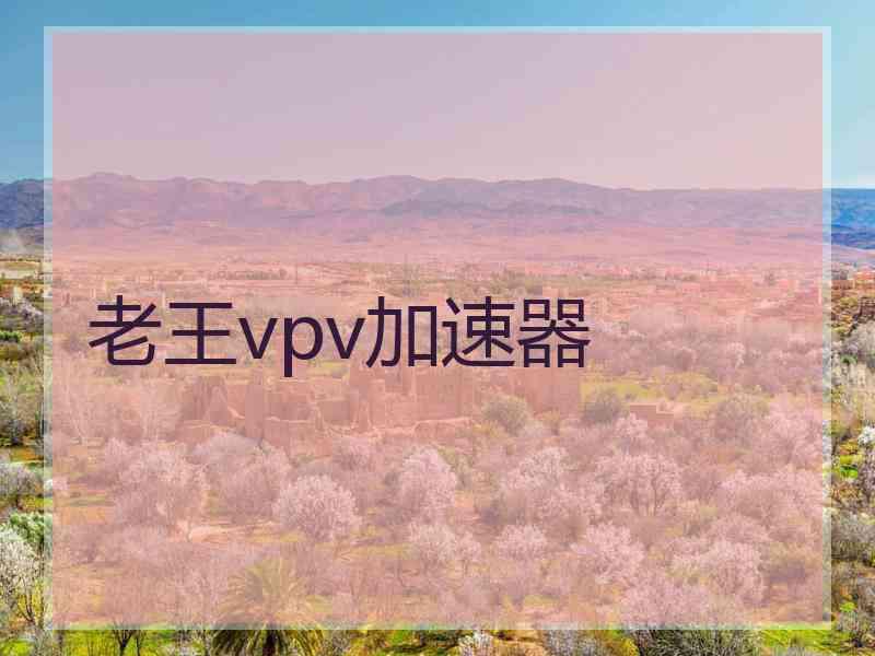 老王vpv加速器