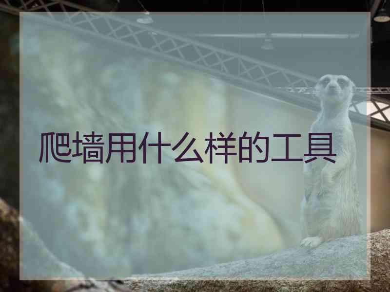 爬墙用什么样的工具
