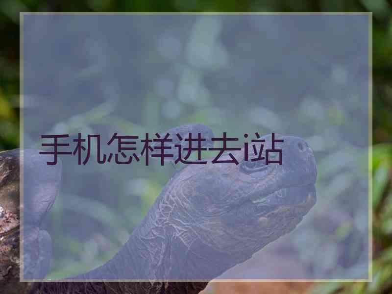 手机怎样进去i站
