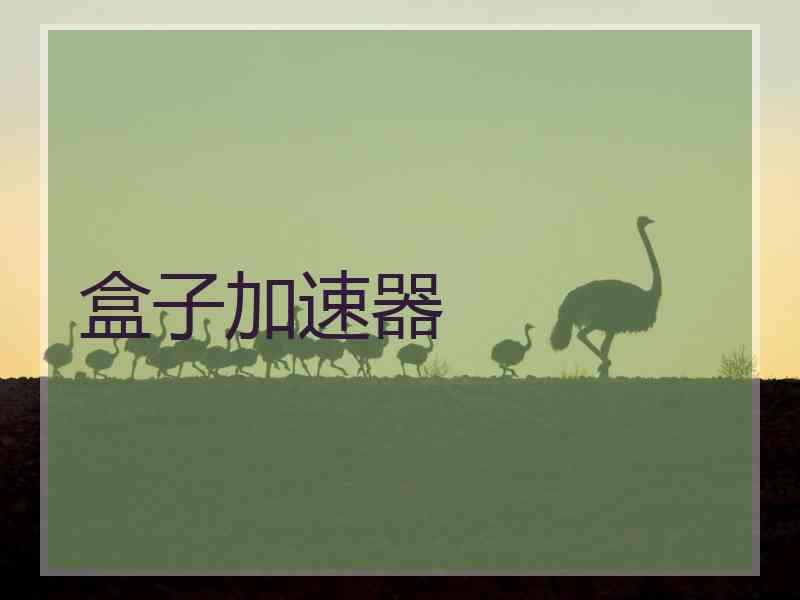 盒子加速器