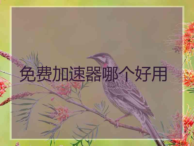 免费加速器哪个好用