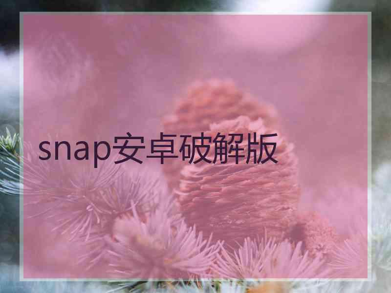 snap安卓破解版