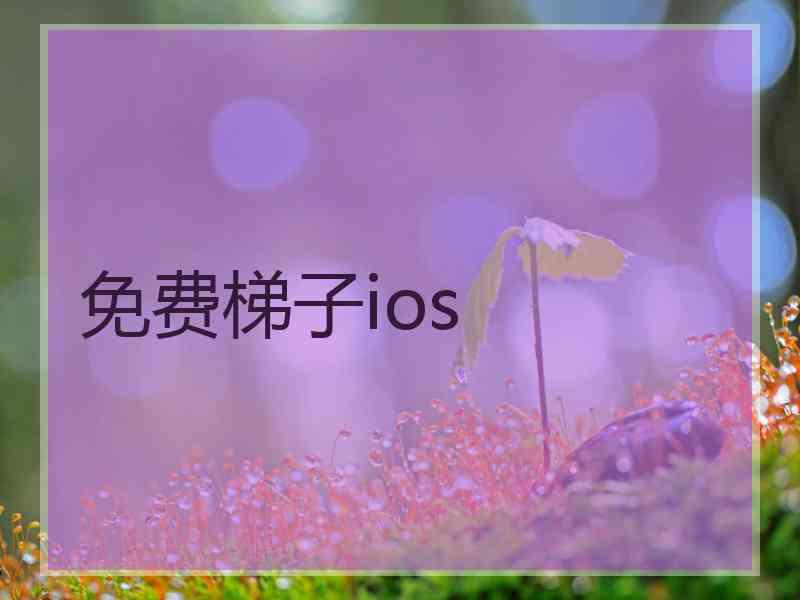 免费梯子ios