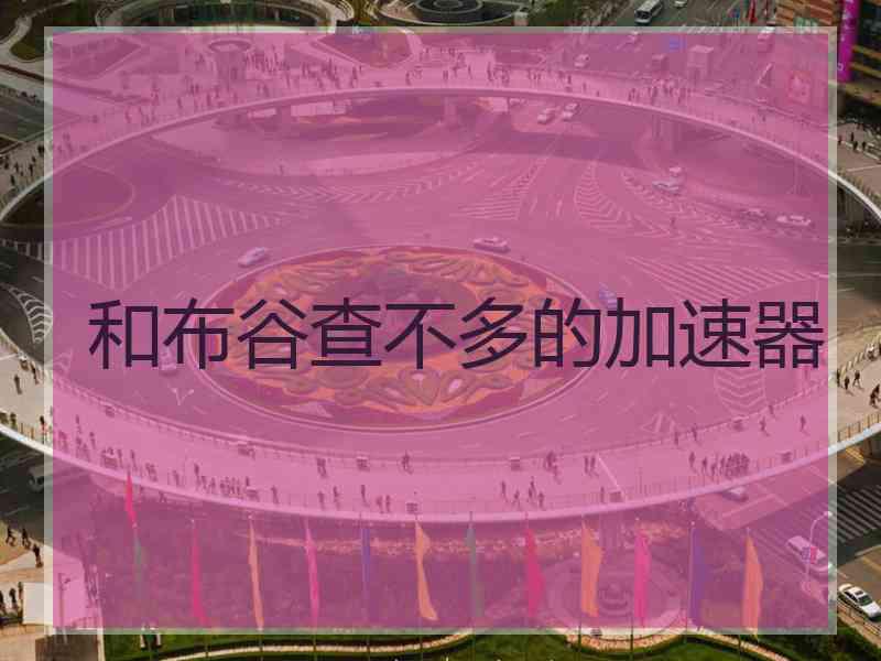 和布谷查不多的加速器