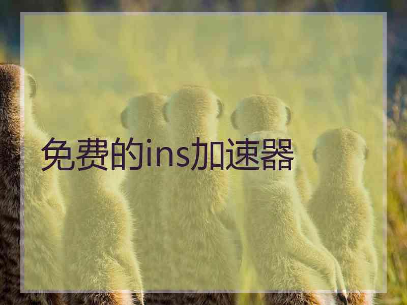 免费的ins加速器