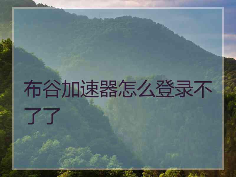 布谷加速器怎么登录不了了
