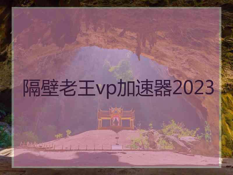 隔壁老王vp加速器2023