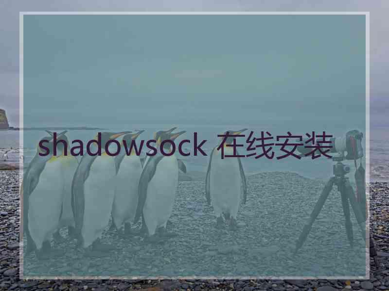 shadowsock 在线安装