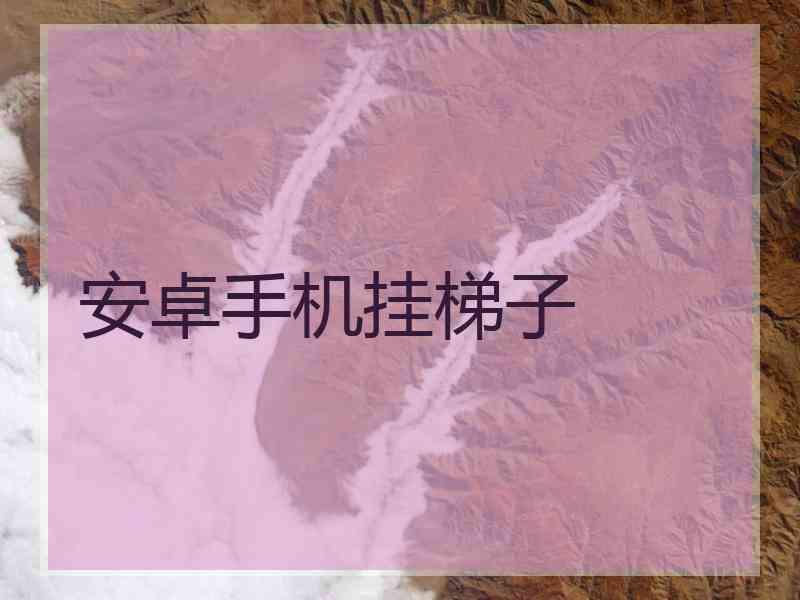 安卓手机挂梯子
