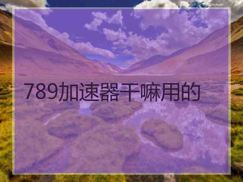 789加速器干嘛用的
