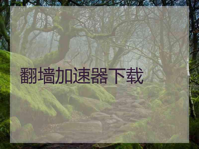 翻墙加速器下载