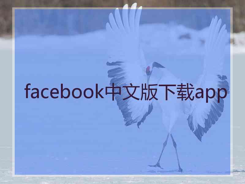 facebook中文版下载app