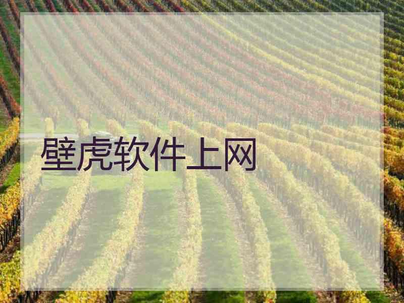 壁虎软件上网