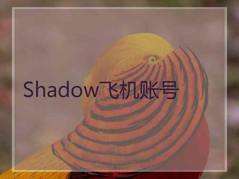 Shadow飞机账号