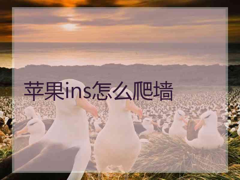 苹果ins怎么爬墙