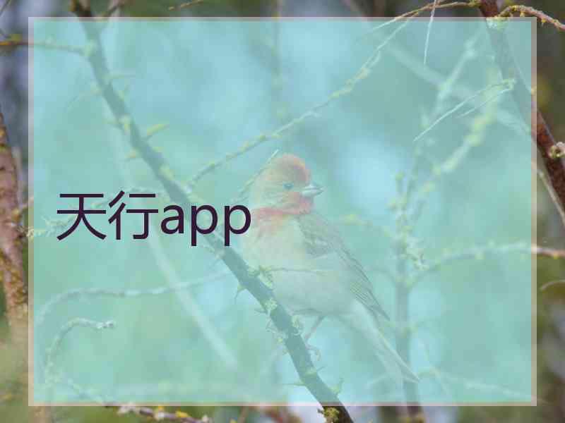 天行app