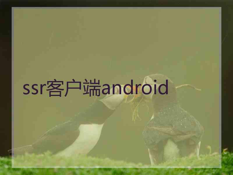 ssr客户端android