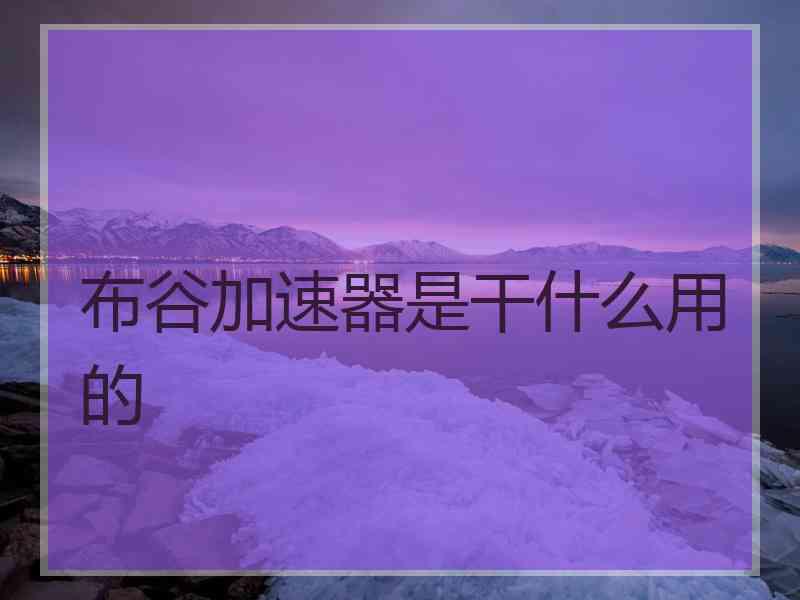 布谷加速器是干什么用的