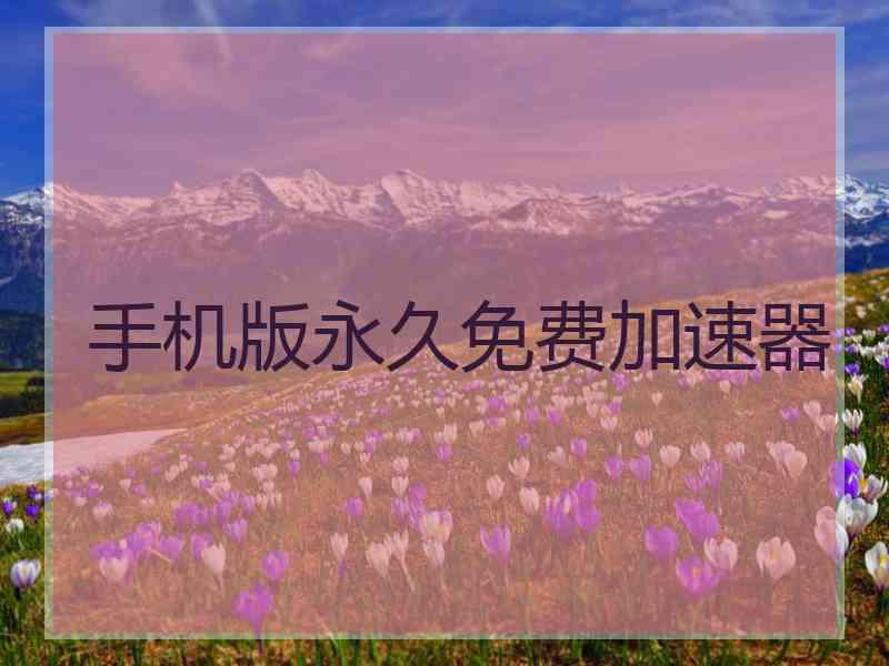 手机版永久免费加速器