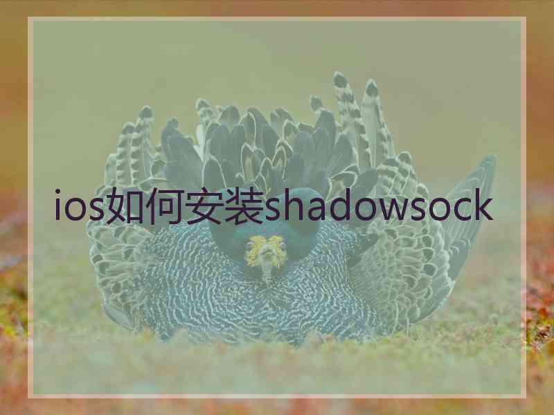 ios如何安装shadowsock