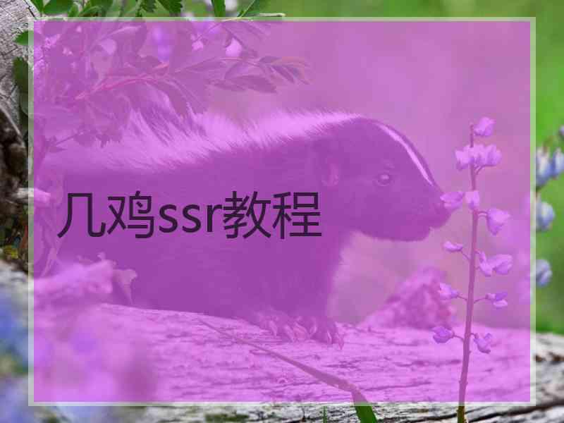 几鸡ssr教程