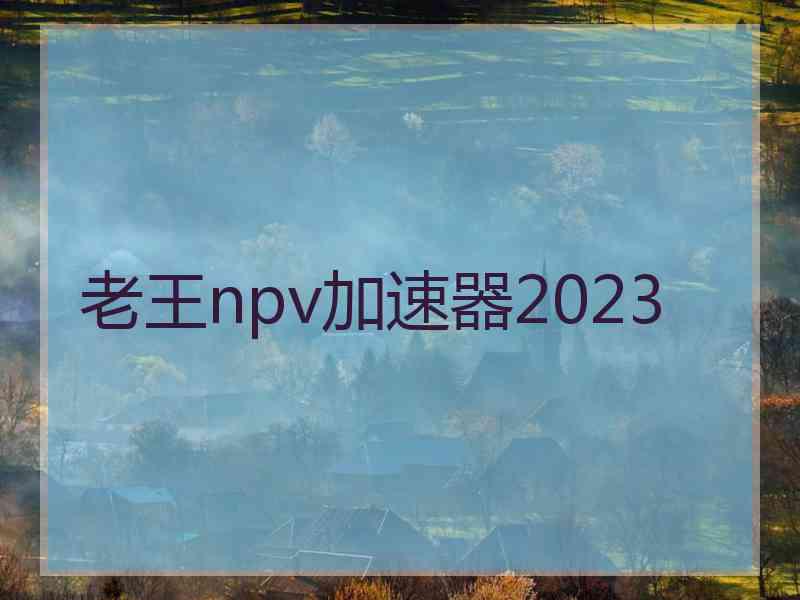 老王npv加速器2023