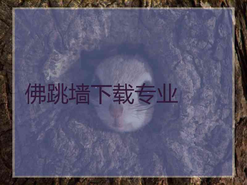佛跳墙下载专业