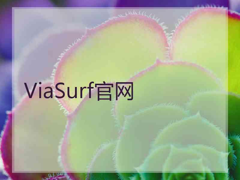 ViaSurf官网