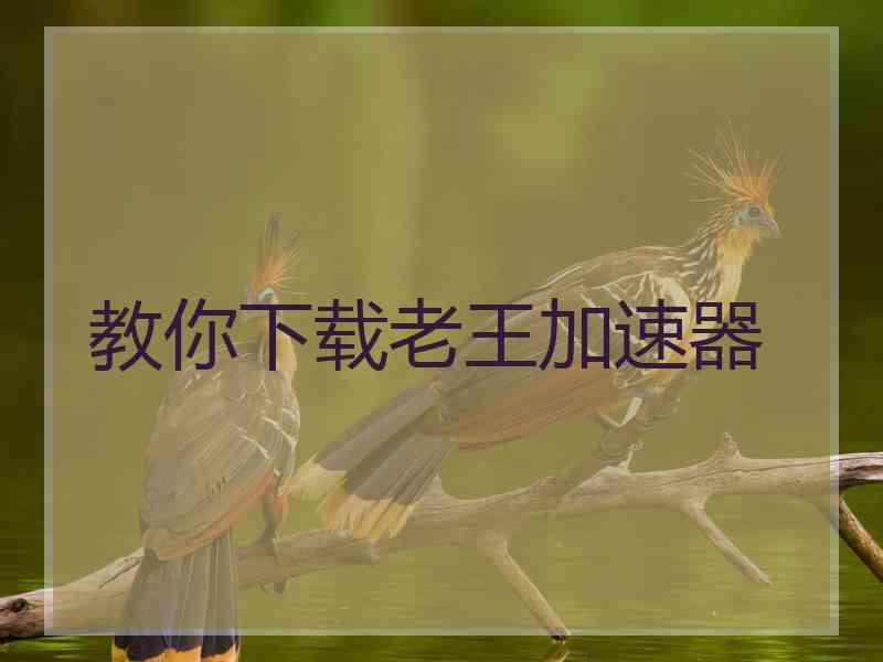 教你下载老王加速器