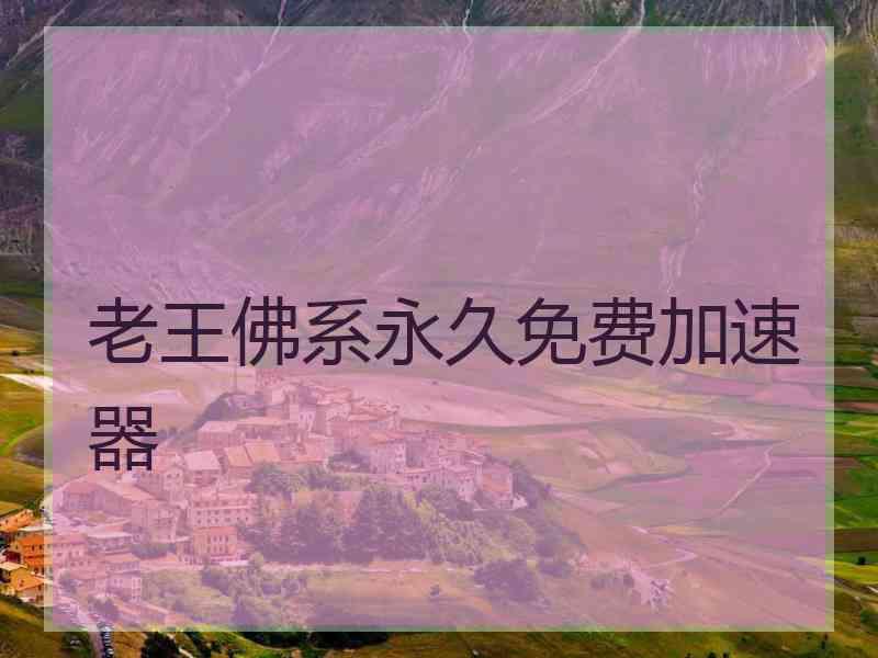 老王佛系永久免费加速器