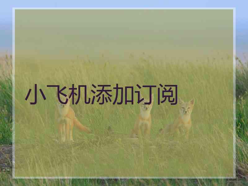 小飞机添加订阅