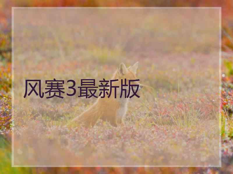 风赛3最新版