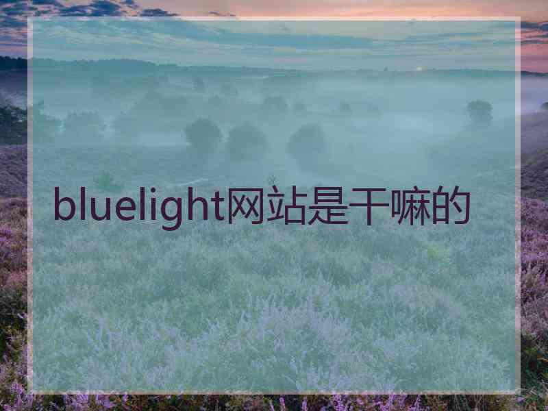 bluelight网站是干嘛的