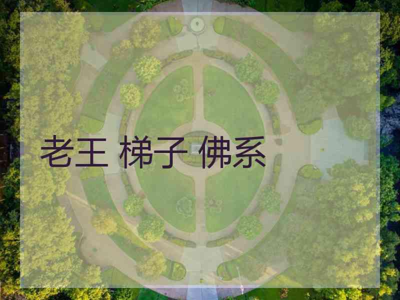 老王 梯子 佛系