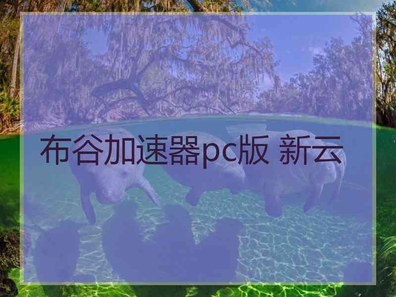 布谷加速器pc版 新云