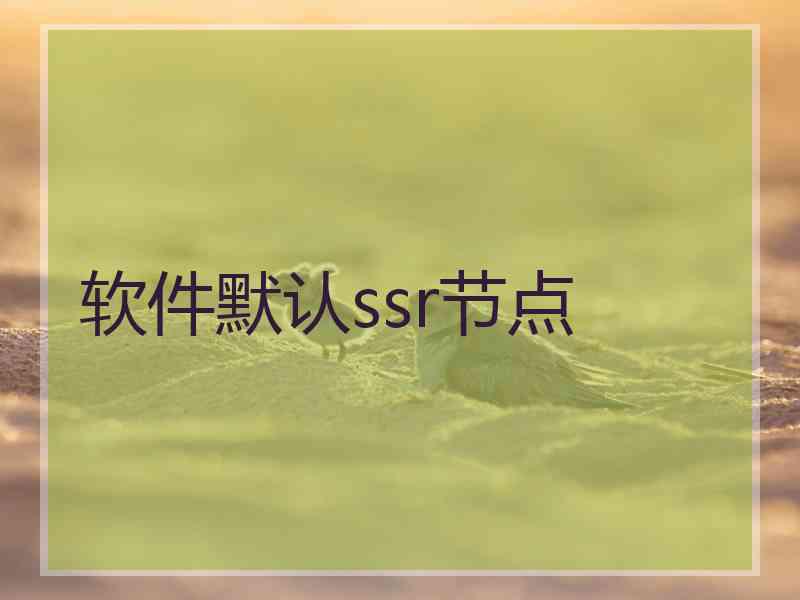 软件默认ssr节点