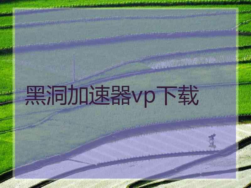 黑洞加速器vp下载