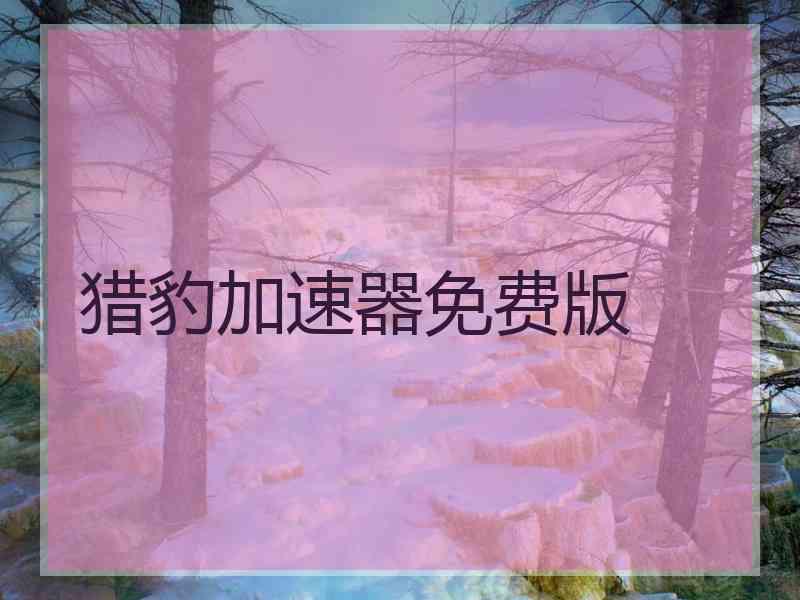 猎豹加速器免费版
