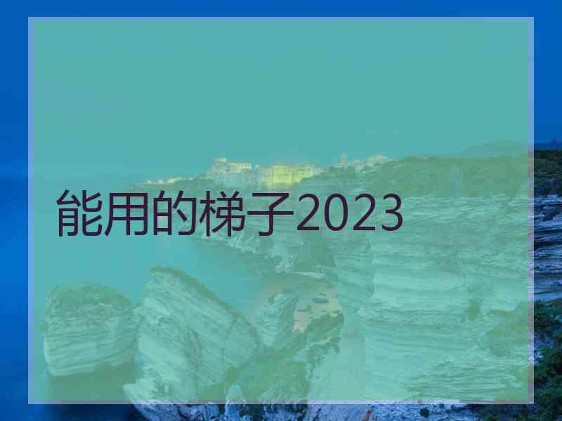 能用的梯子2023