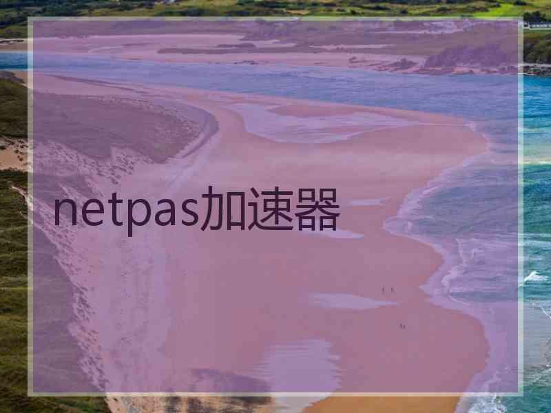 netpas加速器