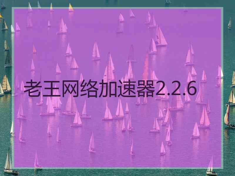 老王网络加速器2.2.6