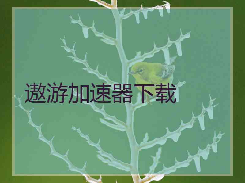 遨游加速器下载